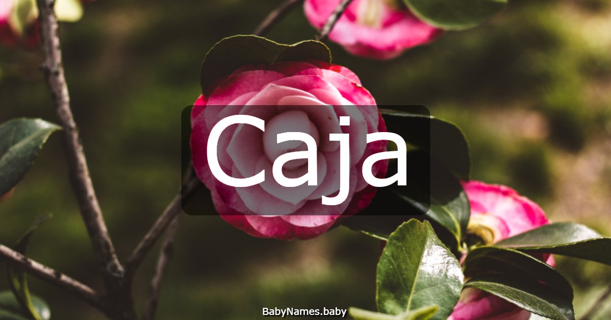 Caja