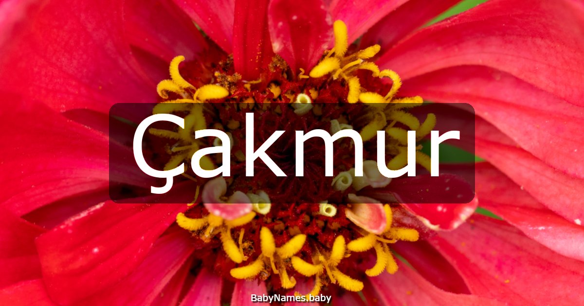 Çakmur