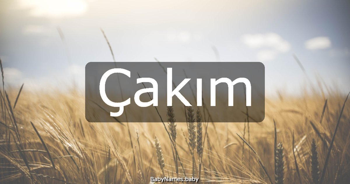 Çakım