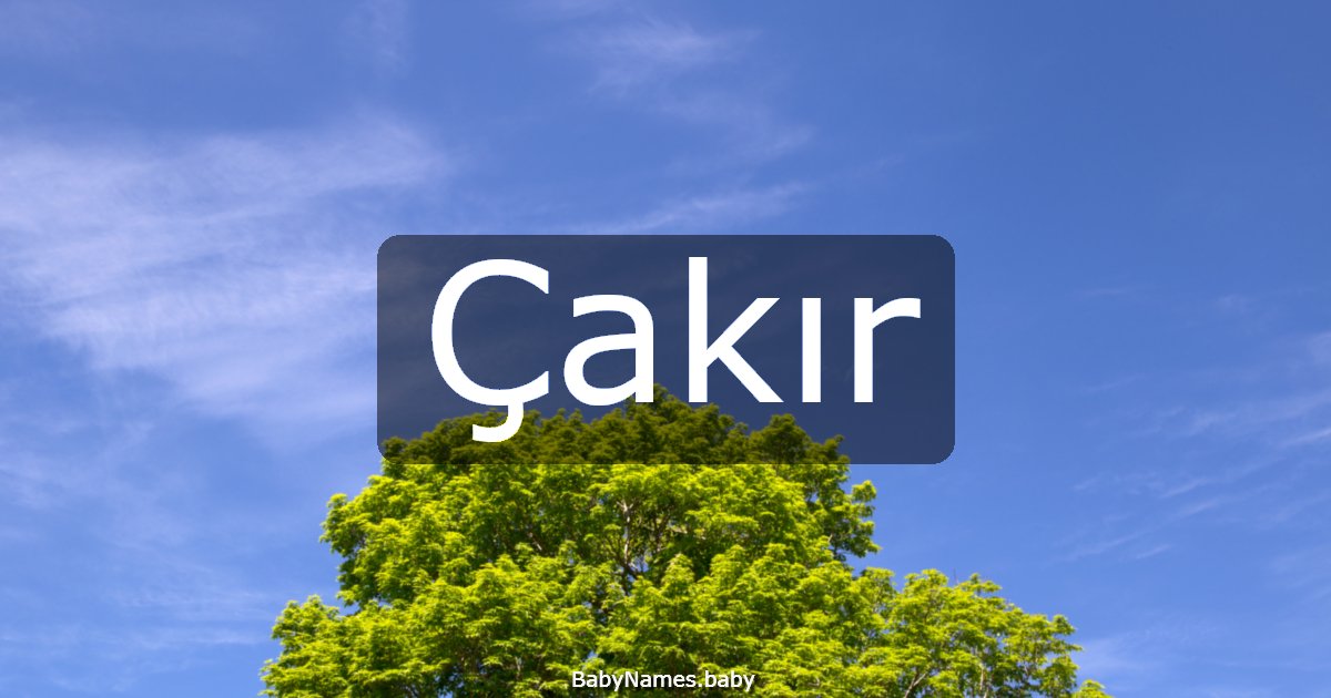 Çakır
