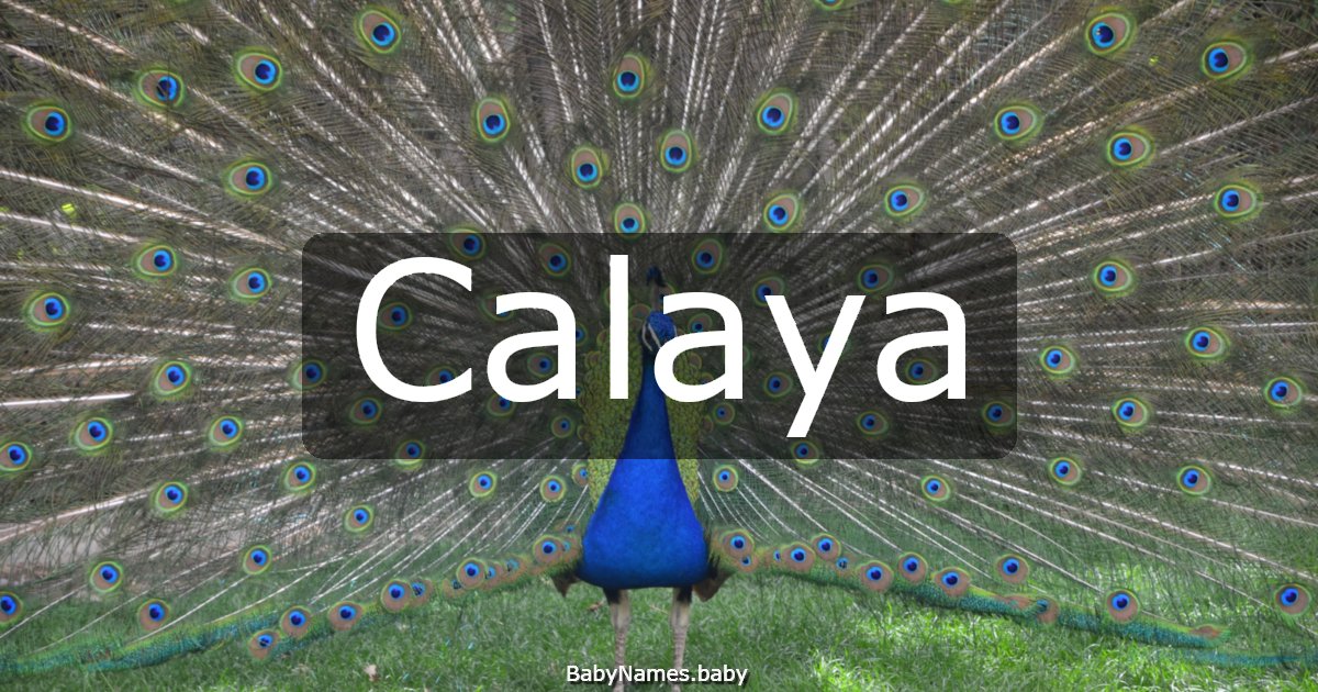 Calaya