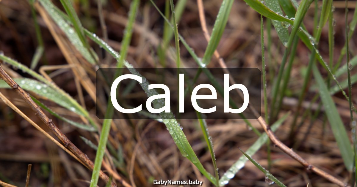 Caleb