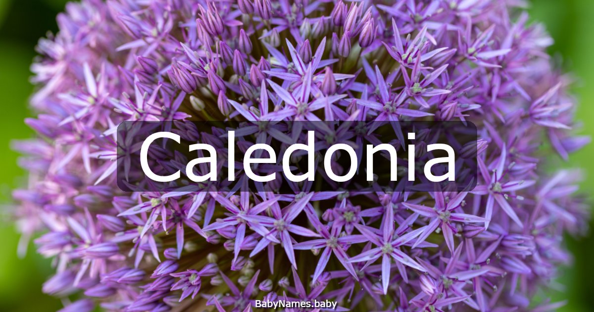 Caledonia