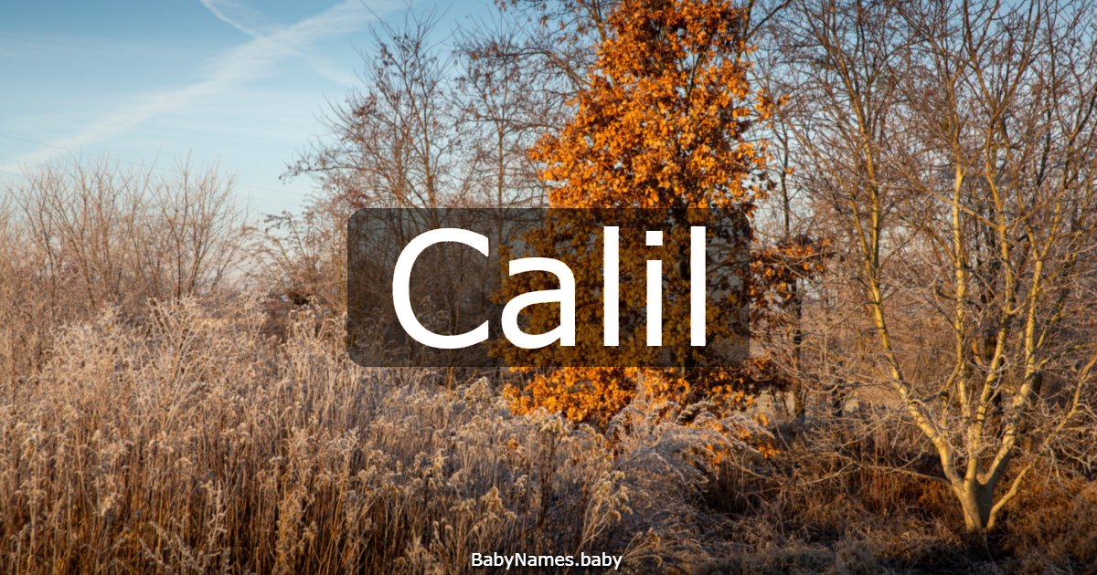Calil