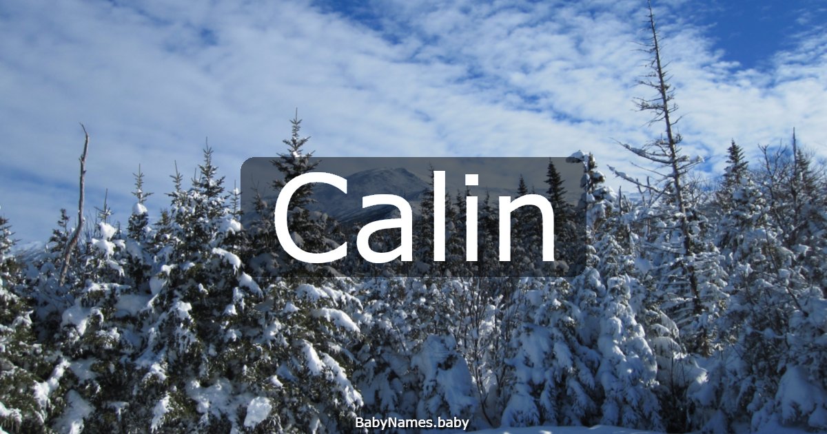 Calin