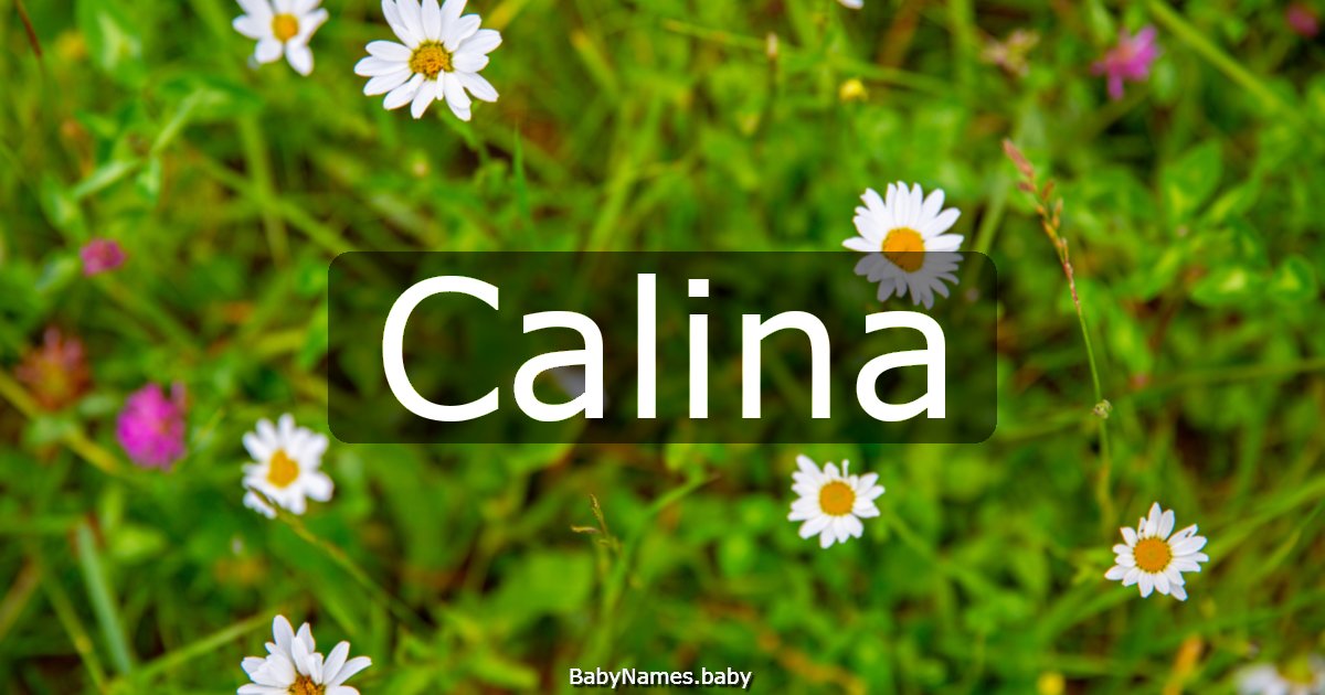 Calina