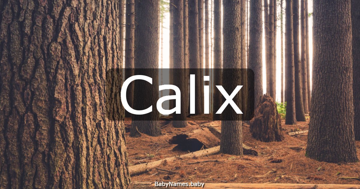 Calix