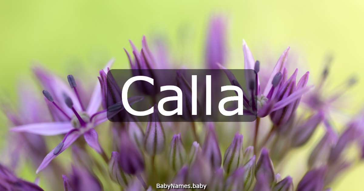 Calla