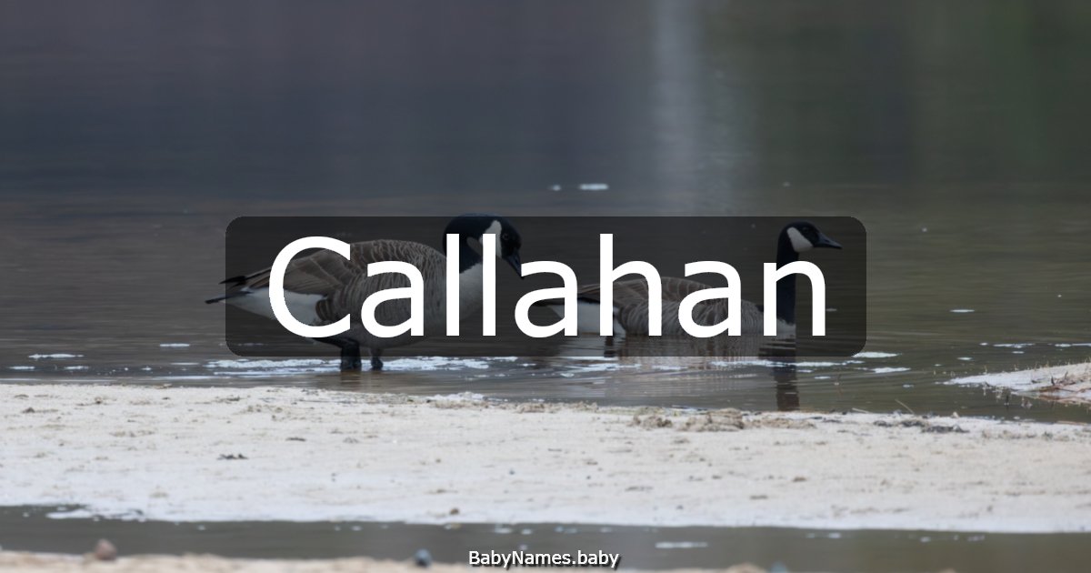 Callahan