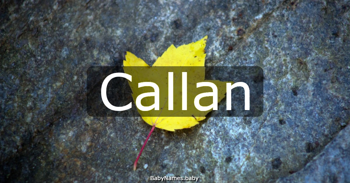 Callan