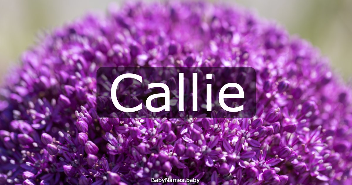 Callie