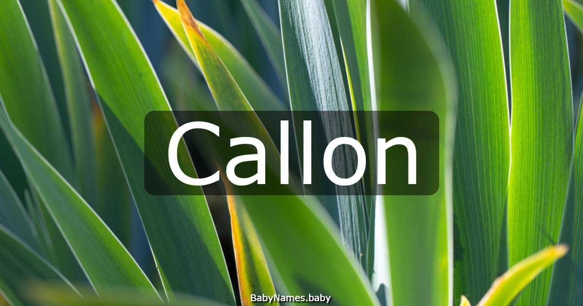 Callon
