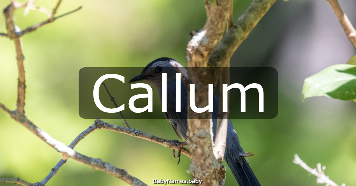 Callum