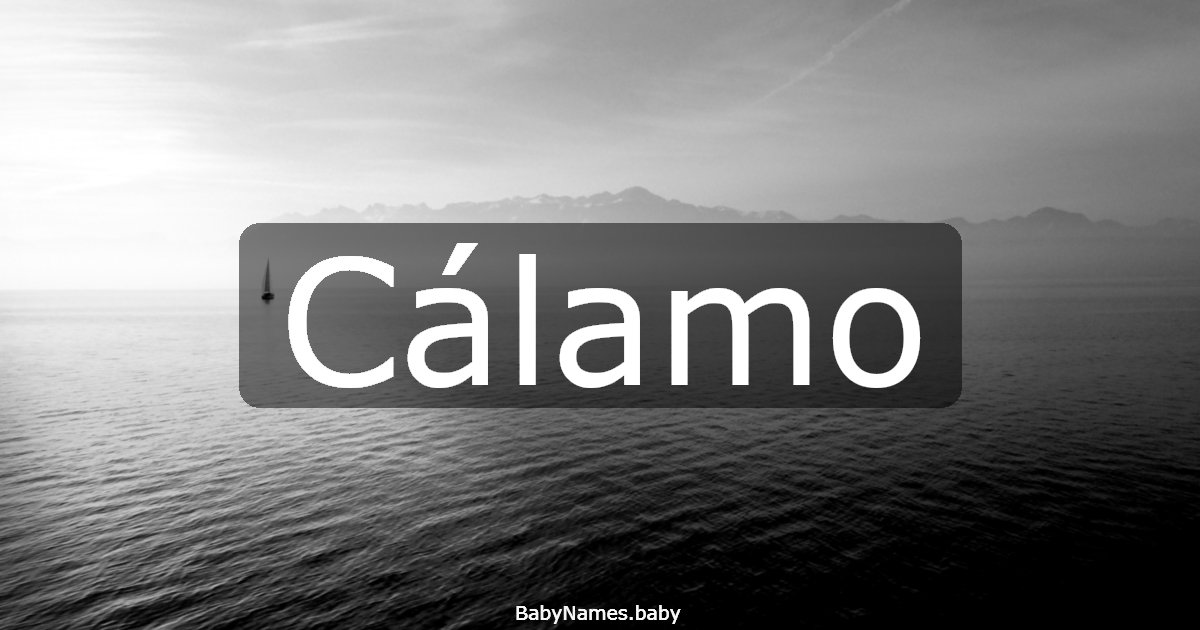 Cálamo