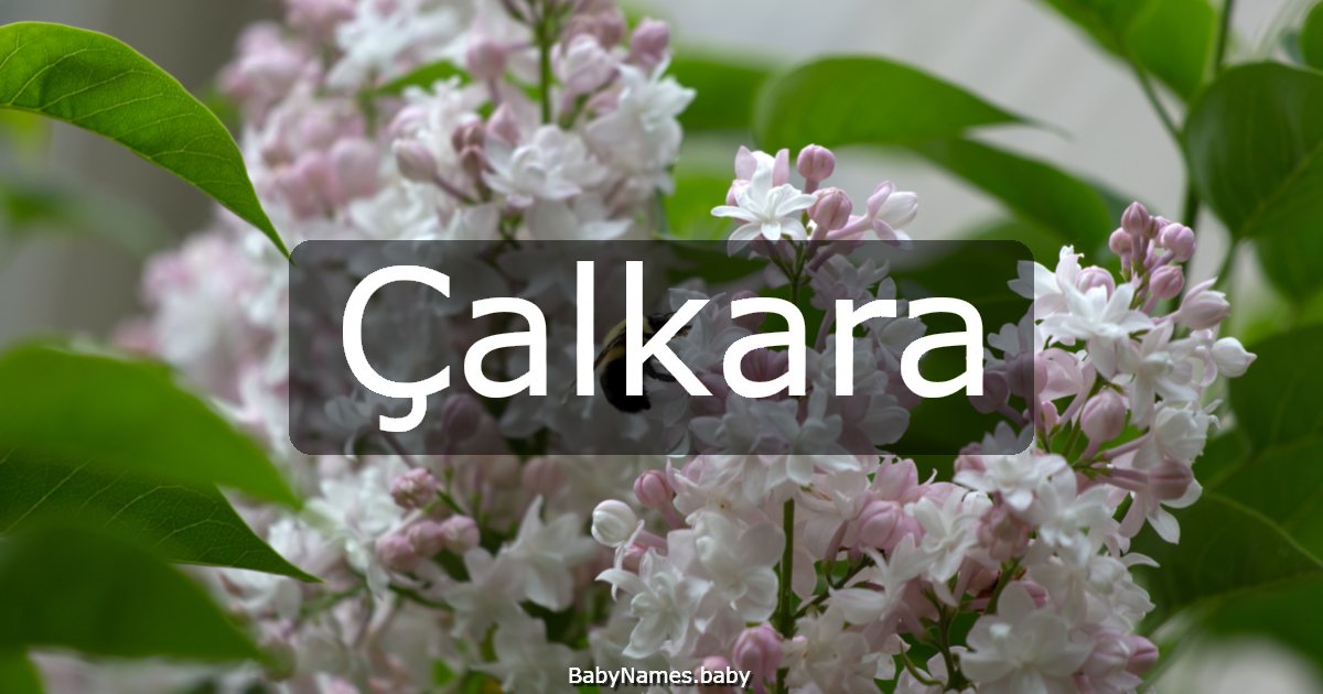 Çalkara