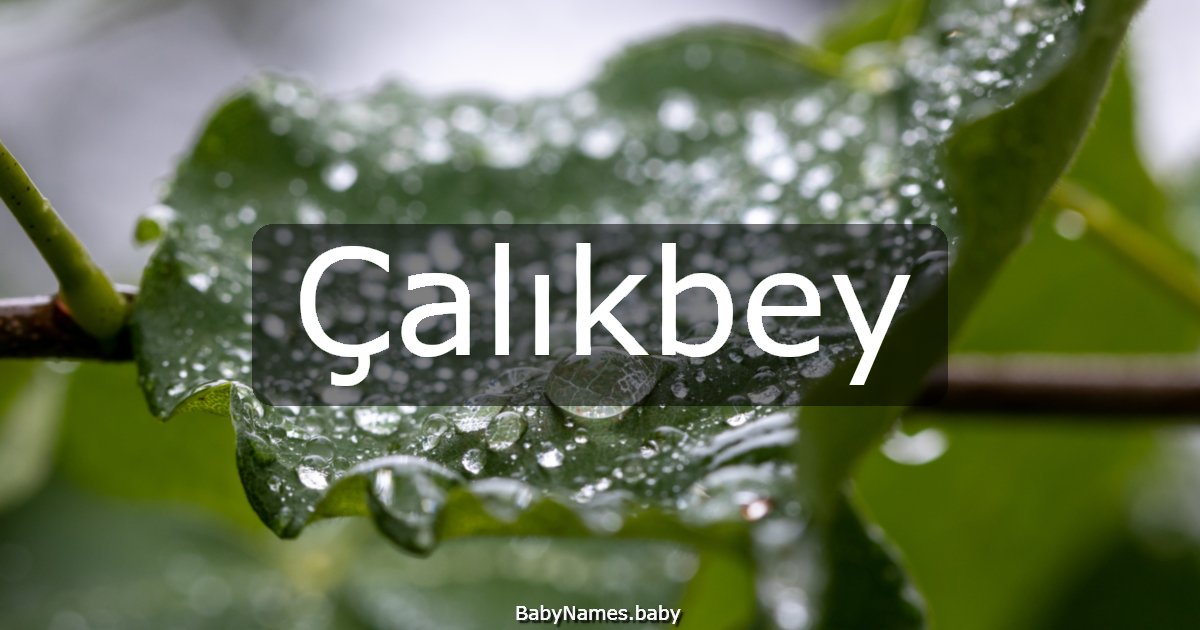 Çalıkbey