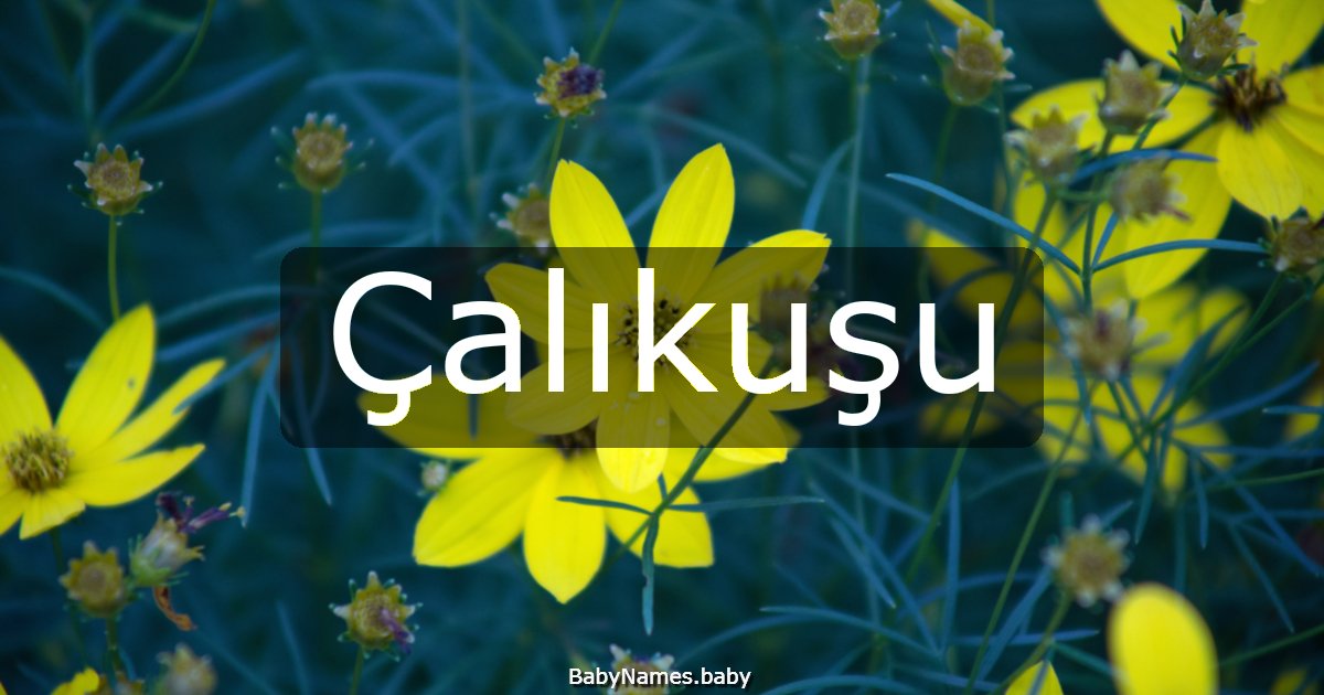 Çalıkuşu