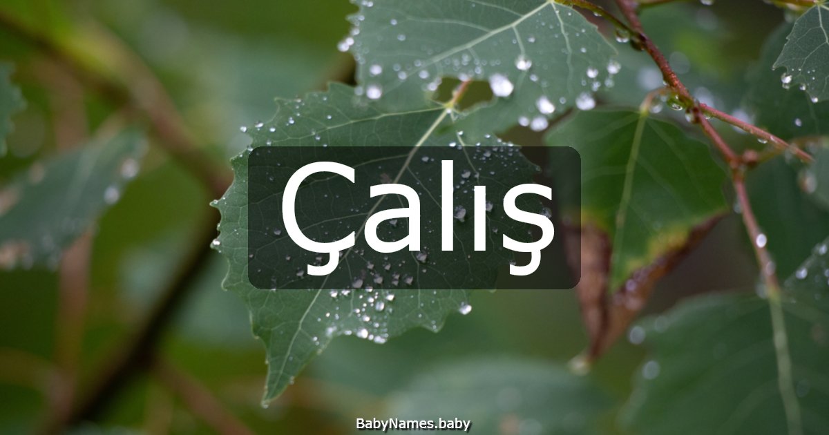 Çalış
