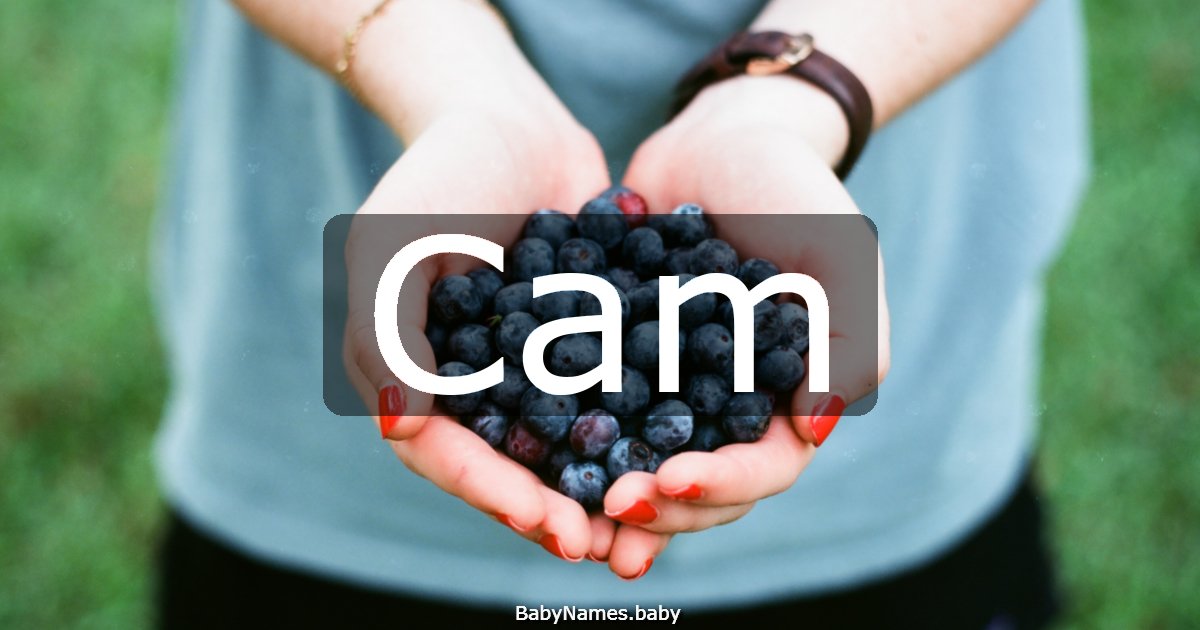 Cam