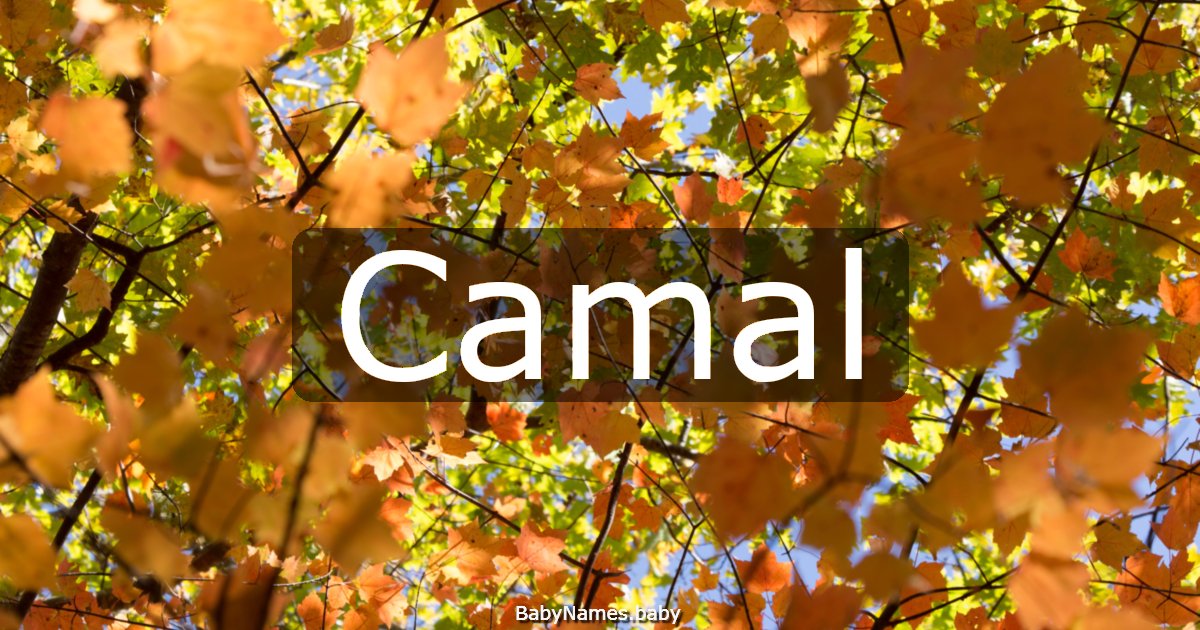 Camal