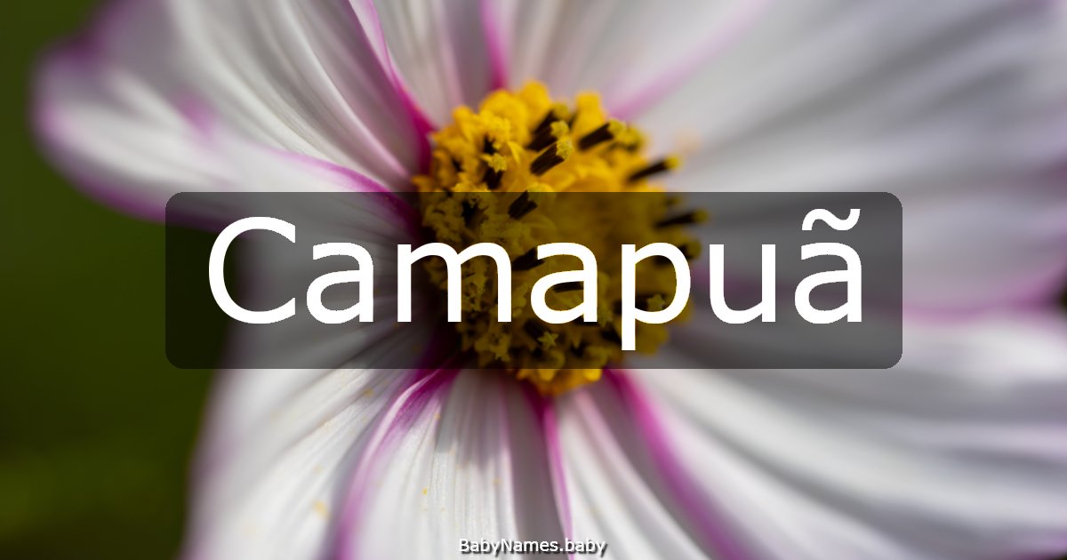 Camapuã