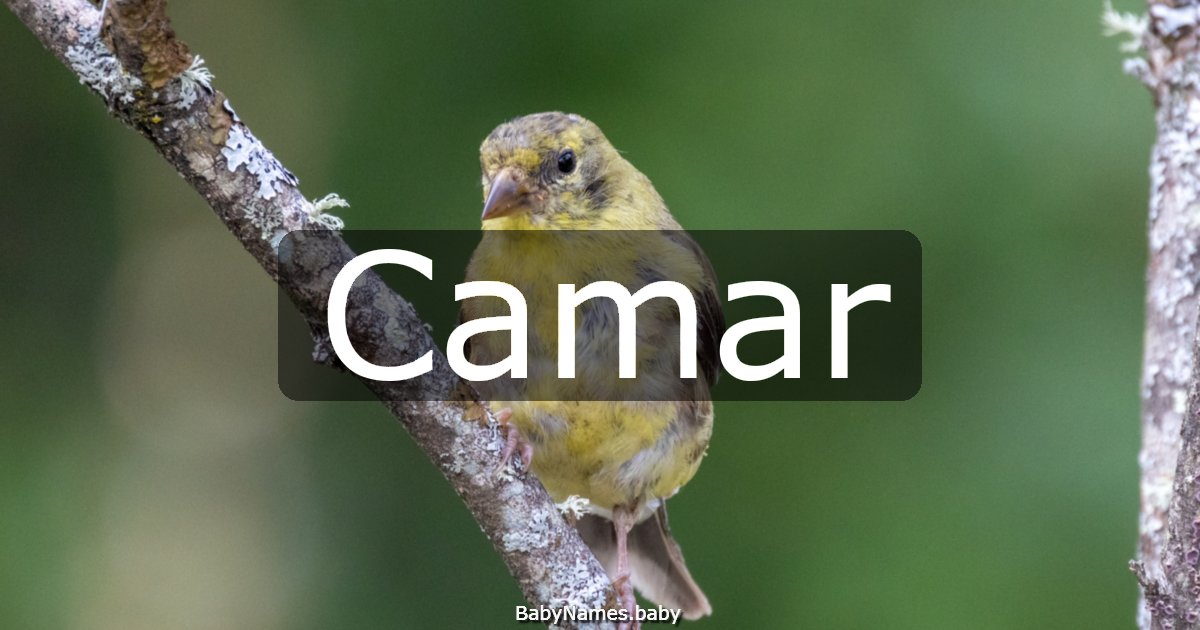 Camar