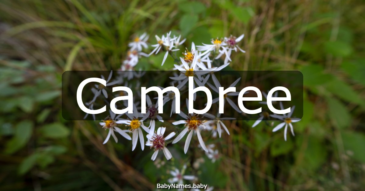 Cambree