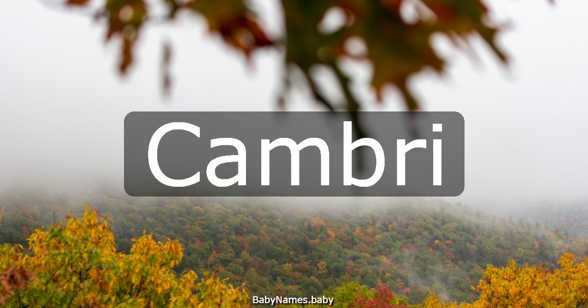 Cambri