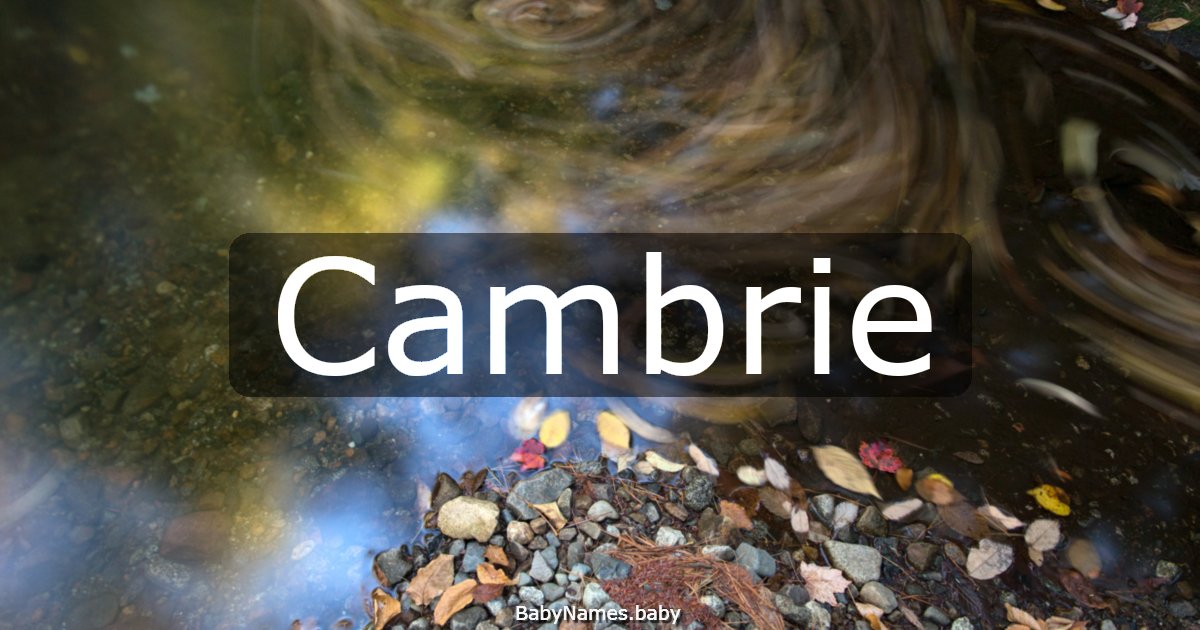 Cambrie