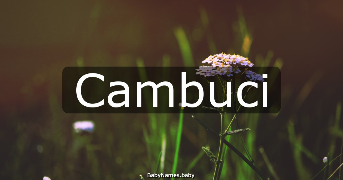 Cambuci