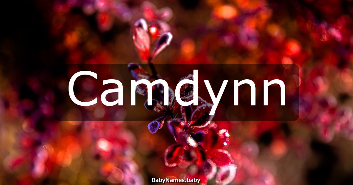 Camdynn