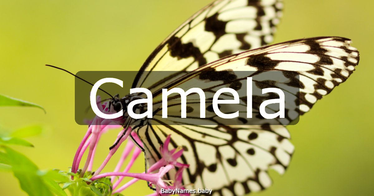 Camela