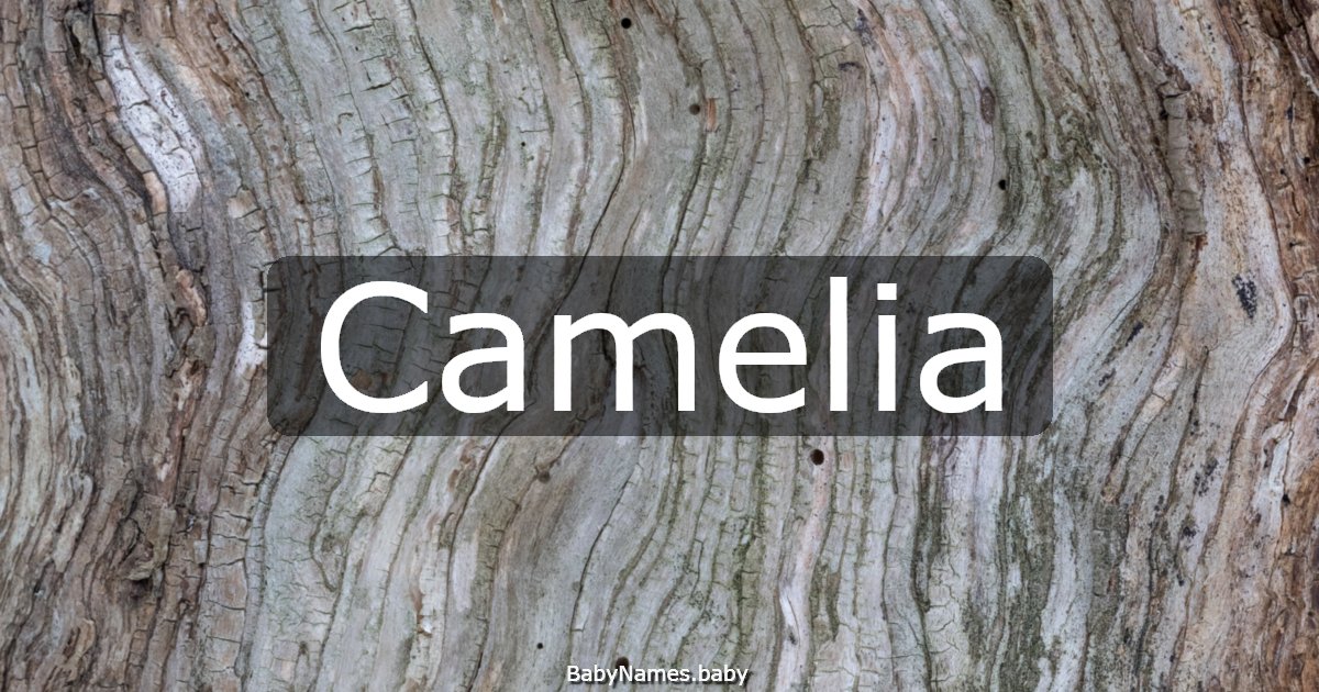 Camelia