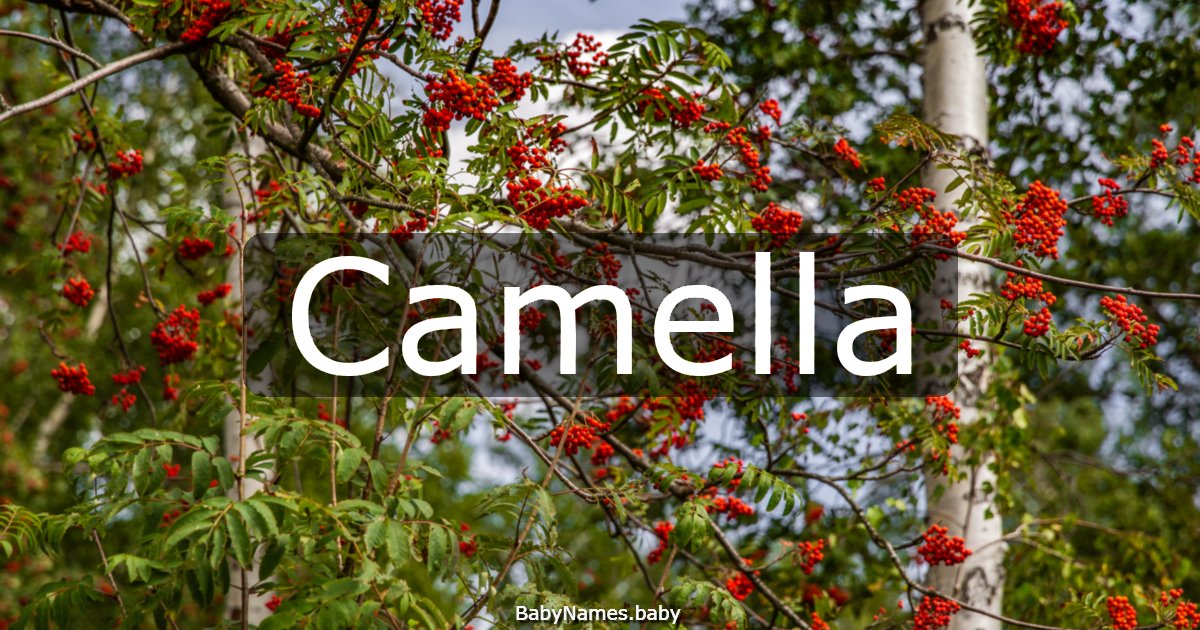 Camella