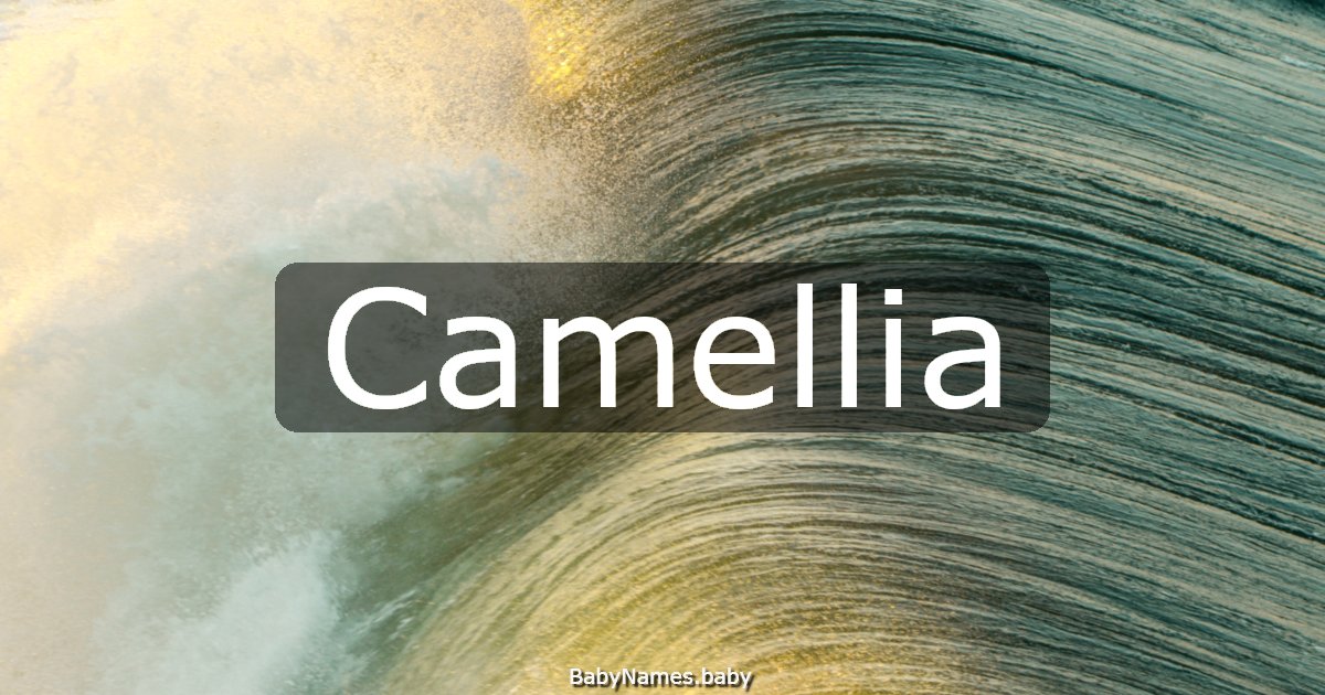 Camellia