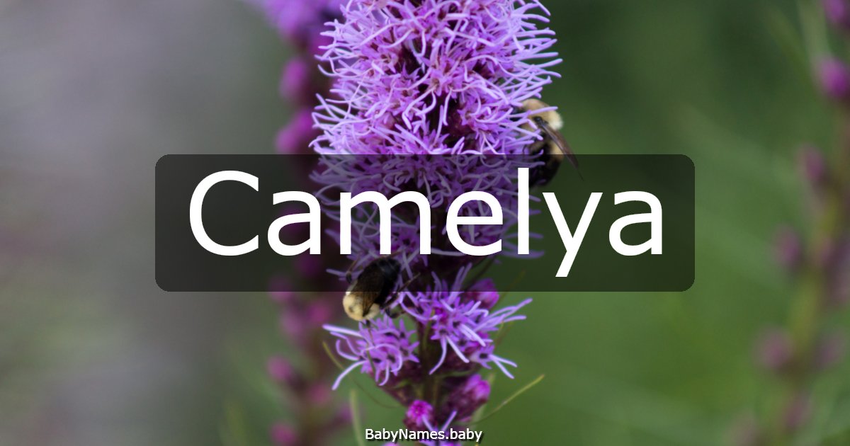 Camelya