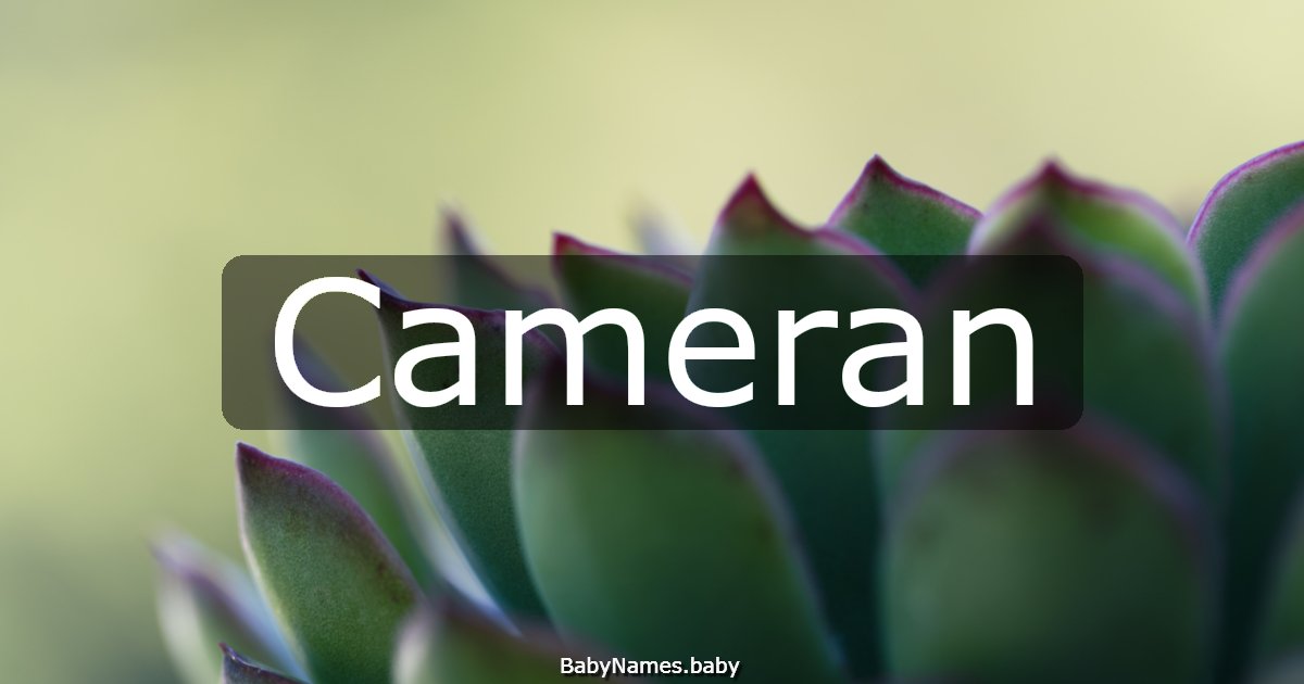 Cameran