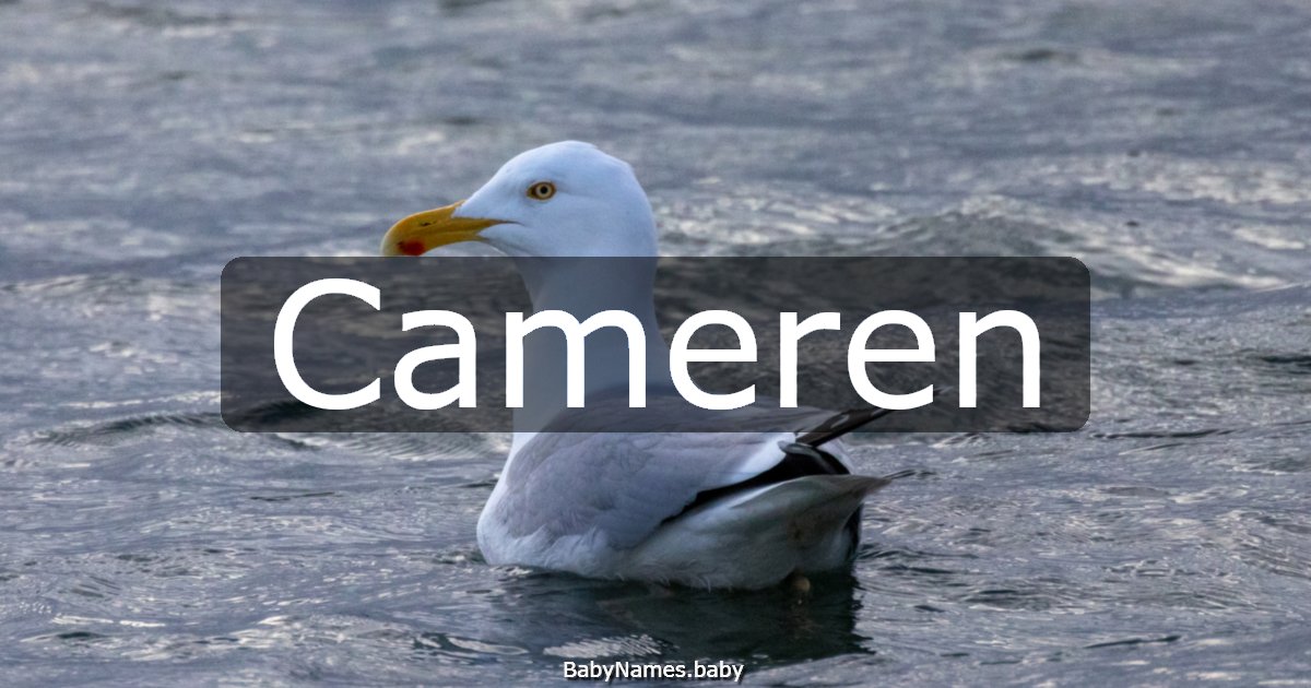 Cameren