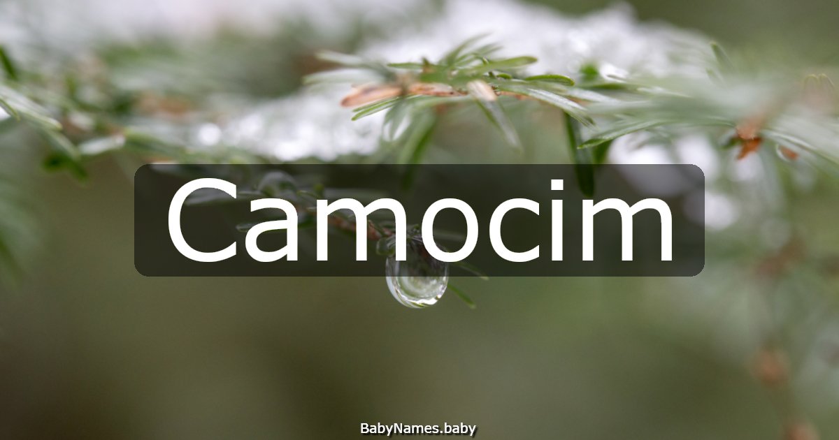 Camocim