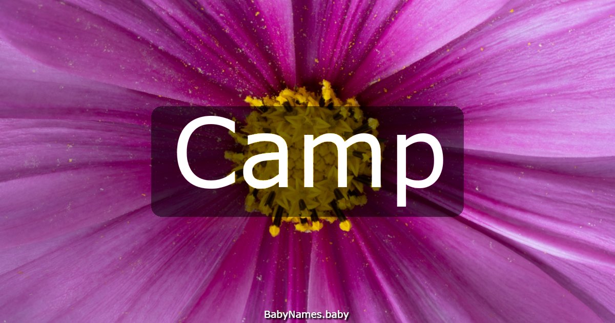 Camp