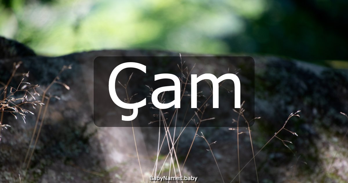 Çam