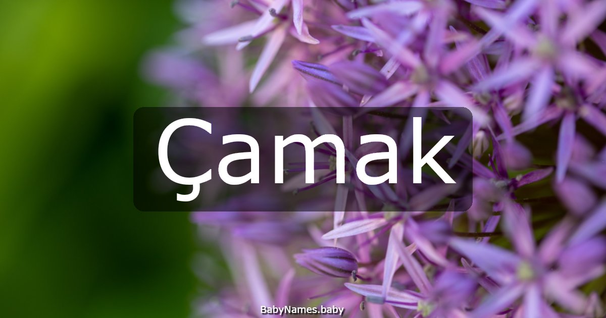 Çamak