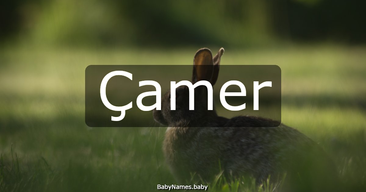 Çamer