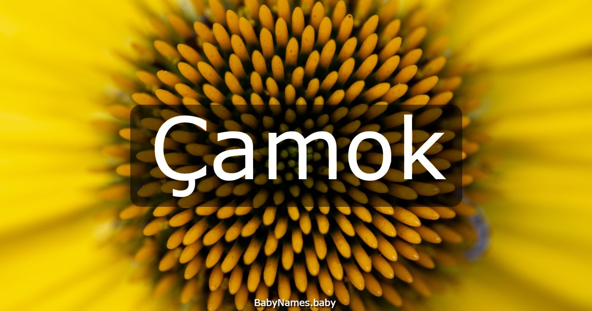 Çamok