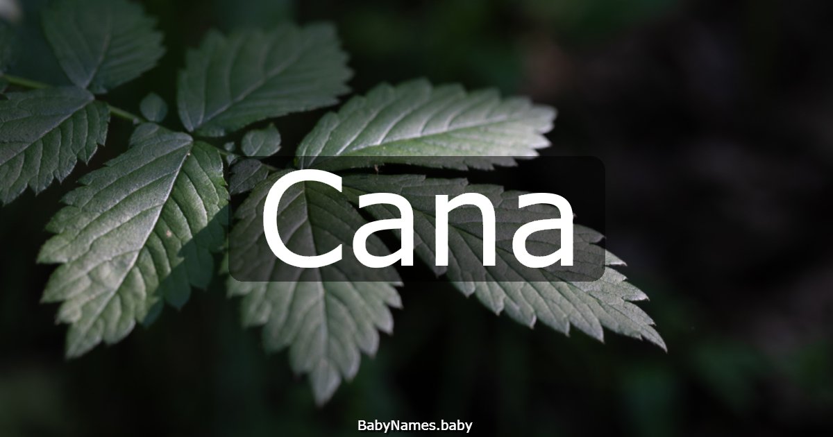 Cana