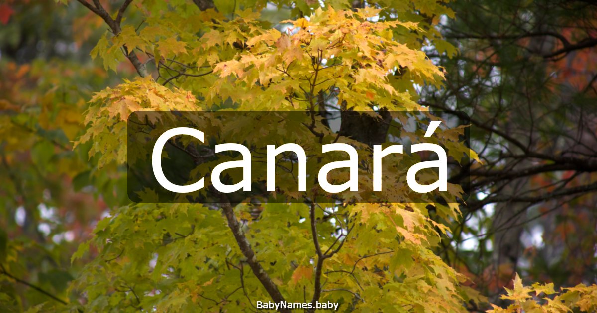 Canará