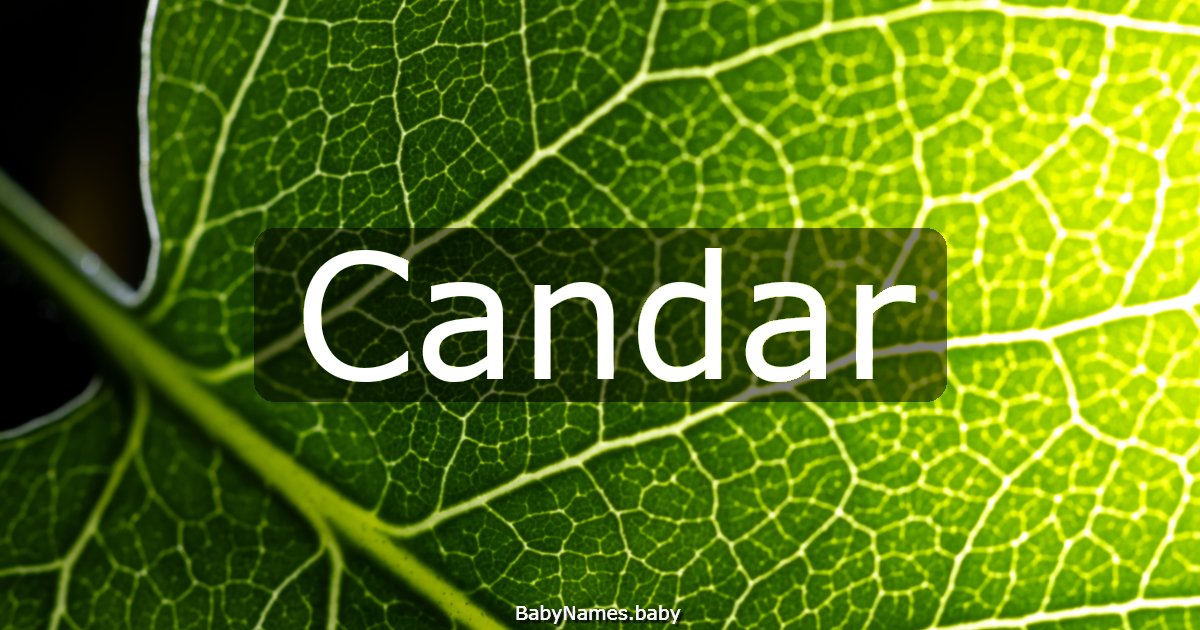 Candar