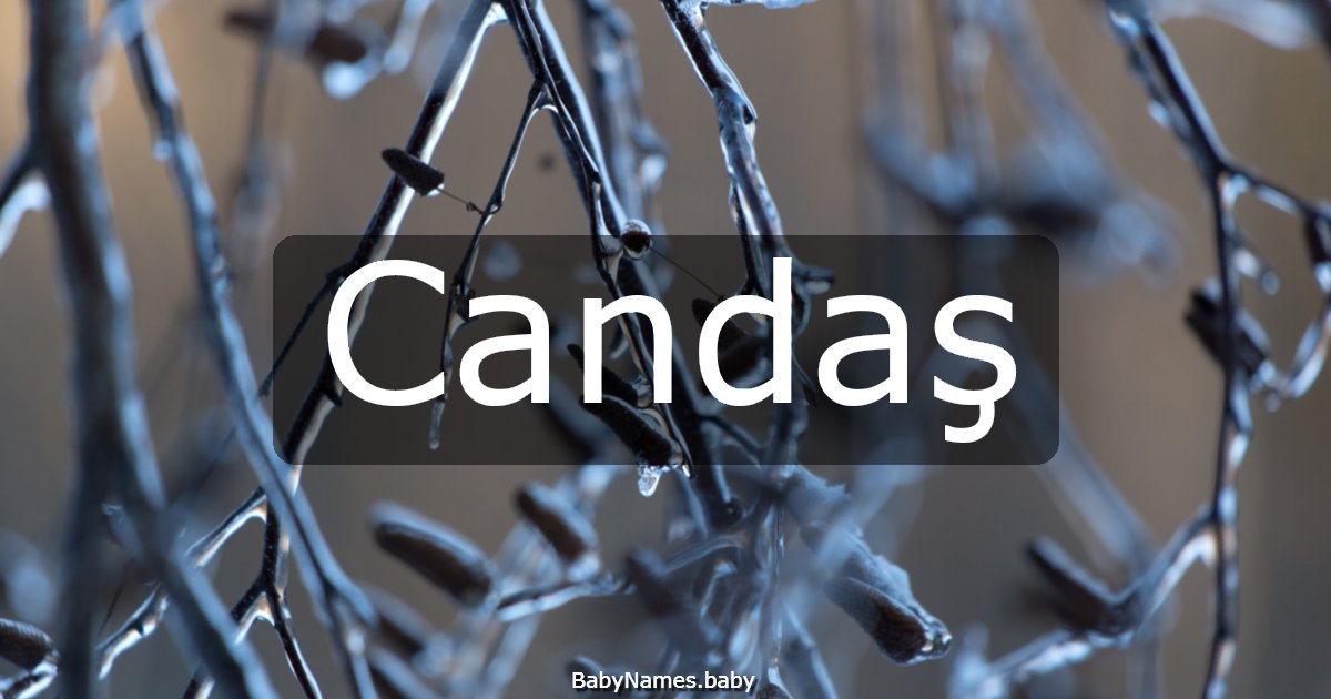 Candaş
