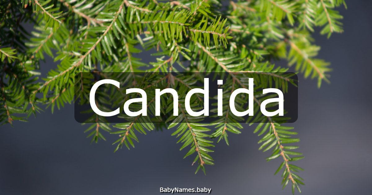 Candida