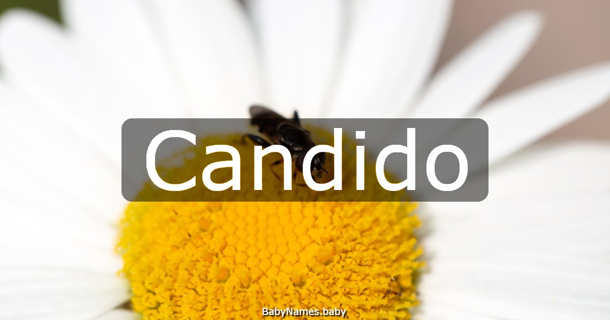 Candido